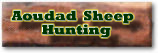 Free Roaming Aoudad Sheep Hunting. All Seasons Guide Service.