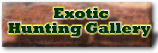 Click Here To Go To The Exotic Hunting Gallery.