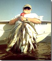 If You Want To Catch Lot's Of Fish  Come And Fish With Captain Mike Powell All Seasons Guide Service Port O' Connor Texas.
