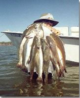 That's A Stringer Of Fish!!