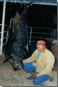 Guided Hog Hunts With All Seasons Guide  Service.
