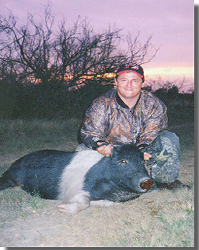 Guided Hog Hunts With All Seasons Guide  Service.