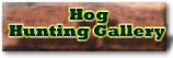 Click here To Go To The Hog Hunting Gallery.