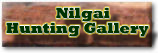 Click Here To Go To The Nilgai Hunting Gallery.