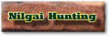 Click Here to Vist Our Nilgai Hunting Page