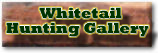 Click Here To Go To The Whitetail Hunting Gallery.