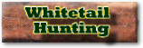 Click here to vist our Whitetail Deer Hunting Page
