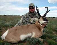 Click Here To View New Mexico  Pronghorn Antelope Hunting Gallery