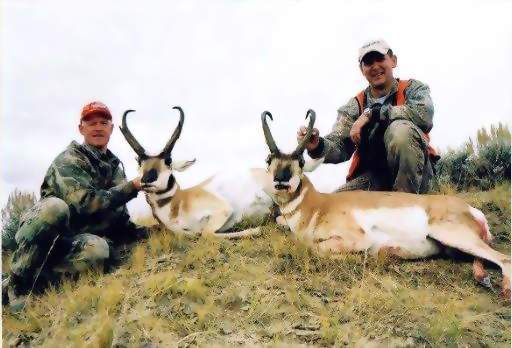 Wyoming Trophy Pronghorn Antelope Hunting, Guided Pronghorn Antelope Hunts. All Seasons Guide Service.