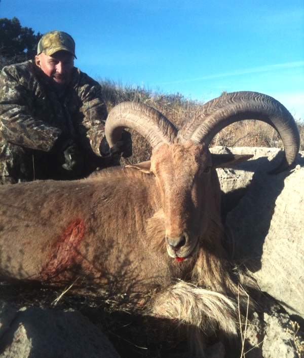 Texas Exotic Hunting Safaris With All Seasons Guide Service.