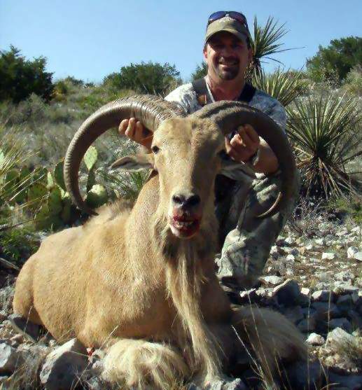 Texas Exotic Hunting Safaris With All Seasons Guide Service.