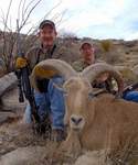 Free Range Aoudad Sheep Hunting. Guided Hunts Texas Bighorn Sheep Hunting.