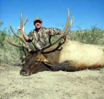 Free Range Bull Elk Hunting. Guided Hunts Texas Bighorn Sheep Hunting.