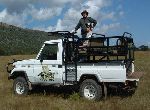 Click On Image For Larger View,  African Safari  Rifle Hunting With All Seasons Guide Service