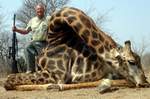 Cilck On Image For Larger View,  African Safari  Rifle Hunting With All Seasons Guide Service.