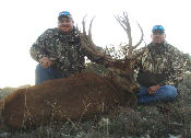 South Texas Exotic Hunting Safaris With All Seasons Guide Service 