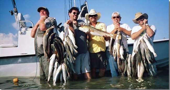All Seasons Guide Service fishes the Port O'Connor bay systems and Surf for trophy trout and redfish .