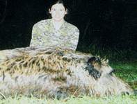 Texas Hog Hunting Adventures With -All Season Guide Service - Click On Image For A Larger View
