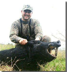 South Texas Guided Hog Hunts - All Seasons Guide Service.