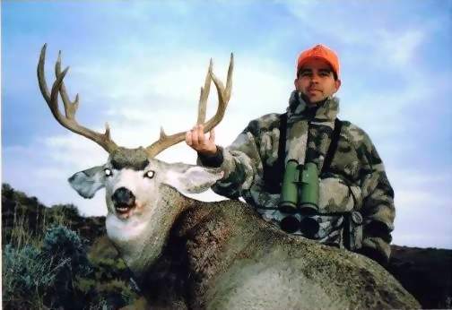 Wyoming Mule Deer Hunts, All Seasons Guide Service Guided Trophy Mul Deer Hunts.
