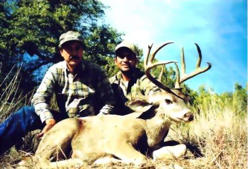 Sonora Mexico Cooues Deer Hunts,guided Cooues deer hunts,Hunt Mexico For Trophy Mule Deer and Cooues Deer.