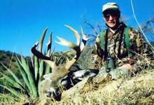 Click On Image for Larger View, Sonora Mexico Cooues  Deer Hunts,guided Cooues deer hunts,Hunt Mexico For Trophy Mule Deer And Cooues Deer.
