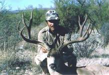 Click On Image for Larger View, Sonora Mexico Mule Deer Hunts,guided mule deer hunts,Hunt Mexico For Trophy Mule Deer.