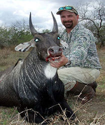 Click Here To View Our Nilgai Hunting Photo Gallery