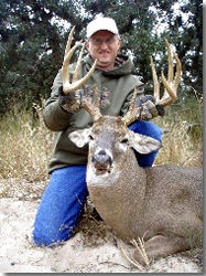 Guided Texas Whitetail Deer Hunts